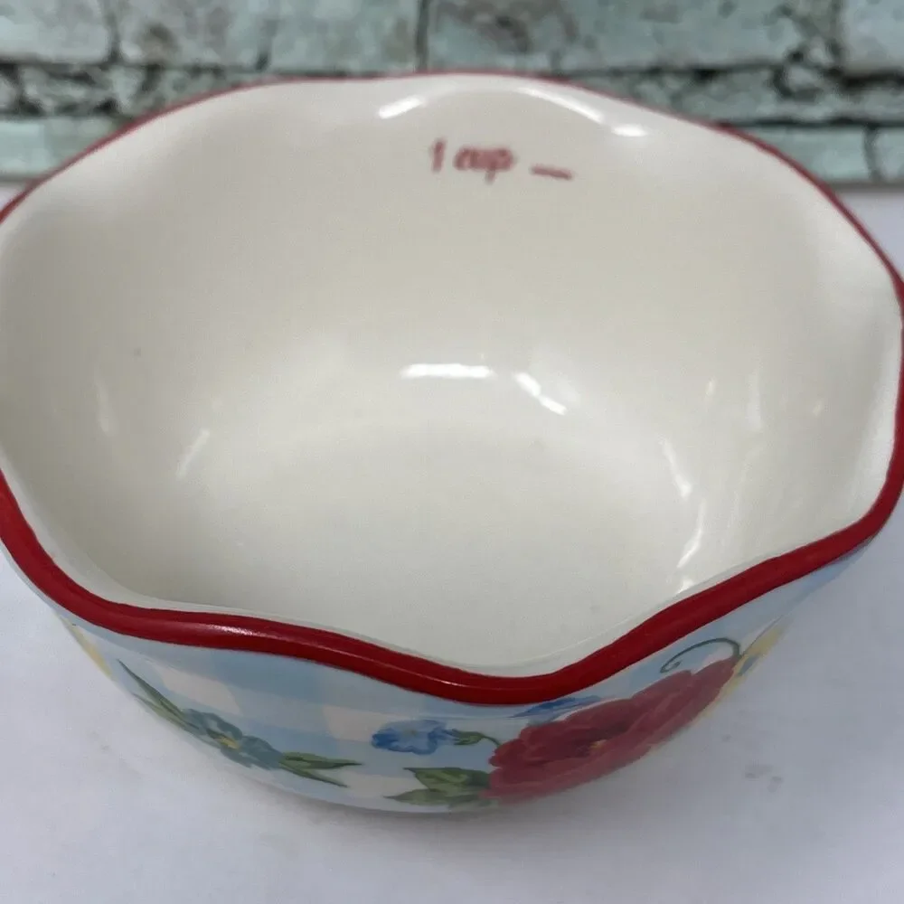 Pioneer Woman SWEET ROMANCE 1 Cup Measuring REPLACEMENT Red Rim Blue Gingham